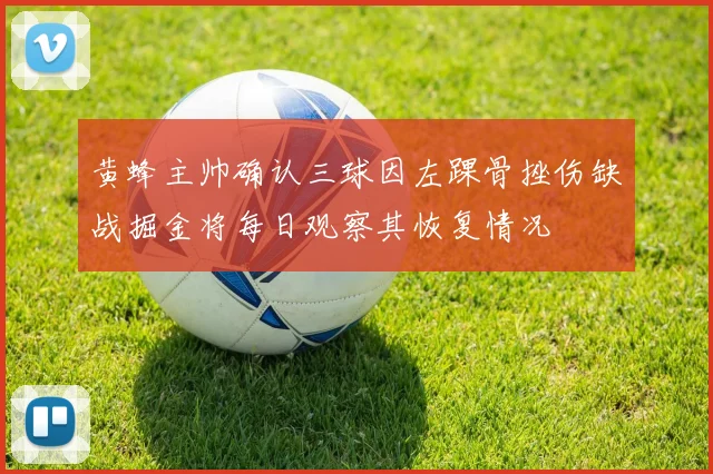 黄蜂主帅确认三球因左踝骨挫伤缺战掘金将每日观察其恢复情况