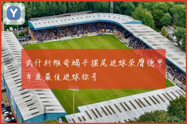 武什科维奇蝎子摆尾进球荣膺德甲年度最佳进球称号