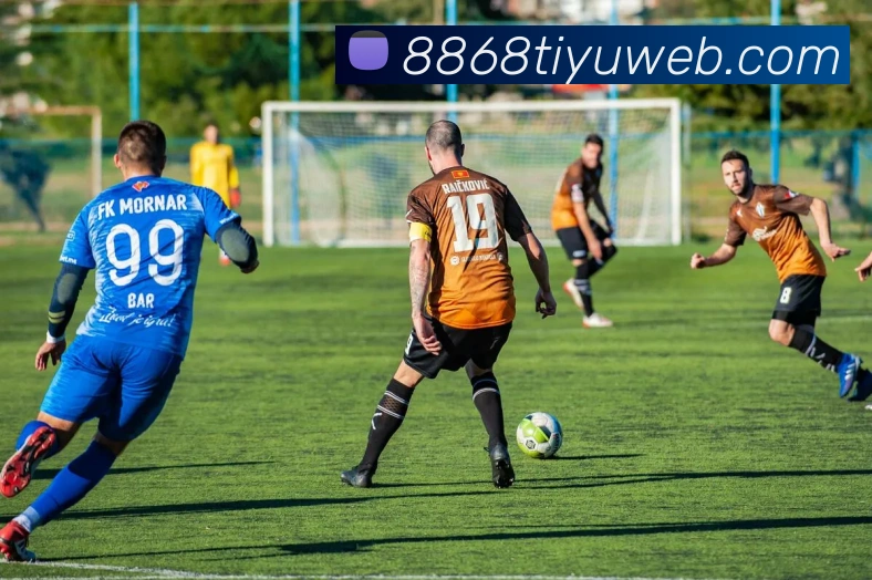 8868体育平台生态图