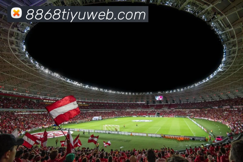 8868体育APP 封面图